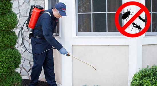 Hatundere Tahtakurusu İlaçlama böcek ilaçlama ve haşere kontrolü — ilaclama-tr.com